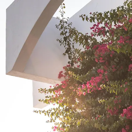 Club Menorca ホテル 3*