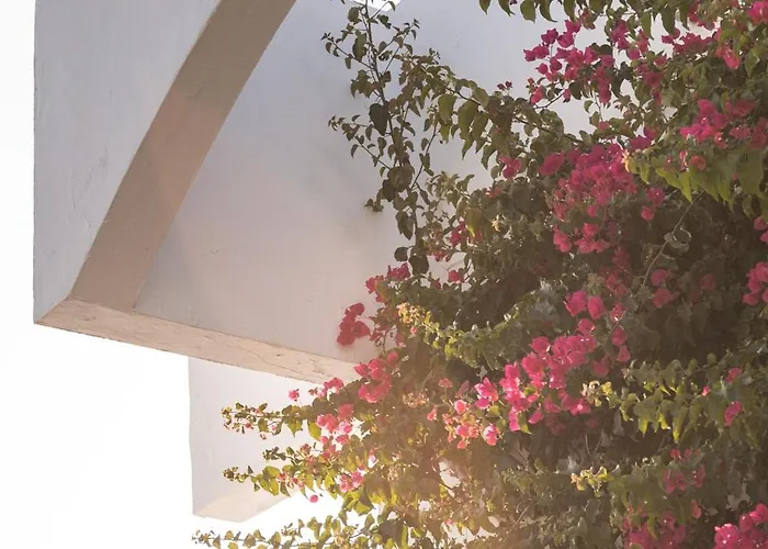 Club Menorca Ξενοδοχείο 3*